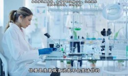 743集在线观看,揭秘剧情高潮，在线观看不容错过